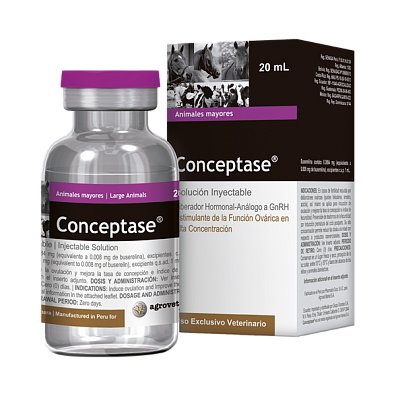 Концептазе