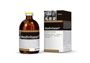 Модивитасан