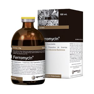Ферромицин