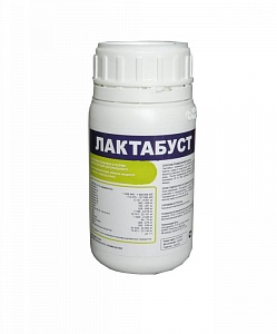 Лактабуст